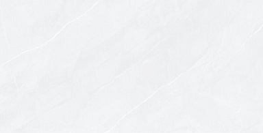 Керамогранит Pardis Ceramic Pazh 176513 Fluorite Polished 60x120