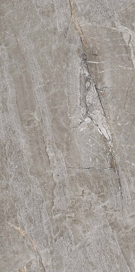 Керамогранит PrimaVera PR209 Essence Grey Polished 600x1200