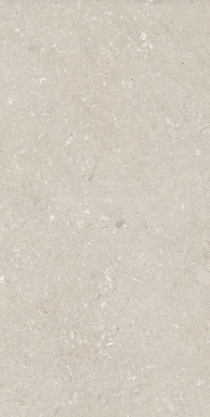 Керамогранит Dado Ceramica 005486 Shellstone Beige 60x120