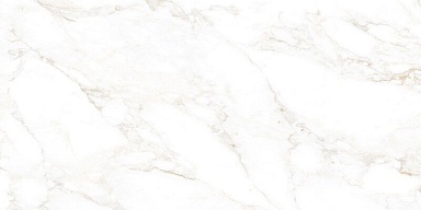 Керамогранит NT Ceramic NTT99526M Marble Extra Endless 60x120
