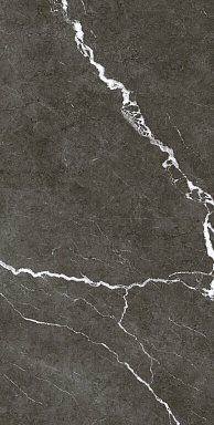 Керамогранит Coliseumgres 610010002747 Микеланджело Дарк 60x120