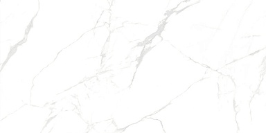 Керамогранит NT Ceramic NTT99607M Callacata carving 60x120