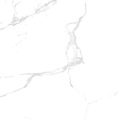 Керамогранит Casati Ceramica Silver white PGVT 60x60