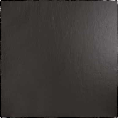 Керамогранит Ape A041245 A Piedi Black 100х100