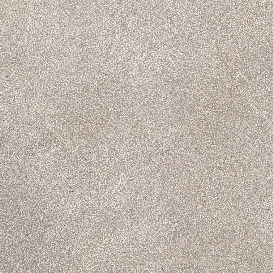 Керамогранит Porcelanosa 100330183 Savannah Topo L 59,6х59,6