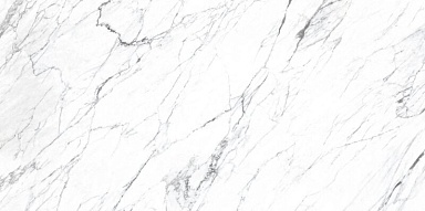 Керамогранит Roca FPK00MQ011 LM STATUARIO MC 100X200