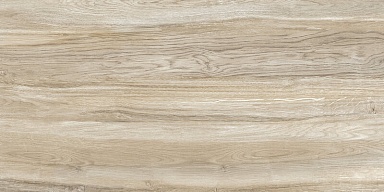 Плитка Alma Ceramica TWU09WDX404 Dakota Woodmix 24.9x50