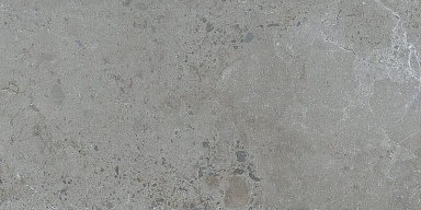 Керамогранит Dune 188999 Pietra Viva Grey 60x120