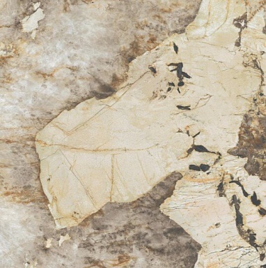 Керамогранит Atlas Concorde Italy AFXM Marvel Desert Soul Lappato 120x120