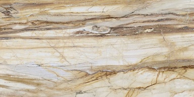 Керамогранит Roca FBS01MQ041 LM FOSSIL MC R E 100X200