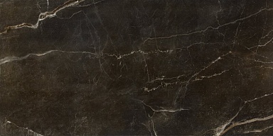 Керамогранит Seranit Imperial Black Relief 60x120