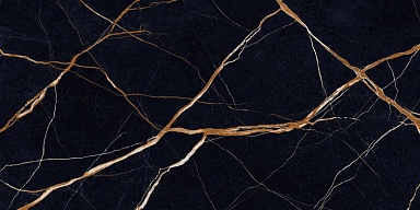 Керамогранит Provenza EKS9 Unique Marble Sahara Noir Silktech 60x120
