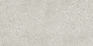 Керамогранит Neodom N130003 Borneo Grey Matt Carving 60x120
