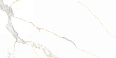 Керамогранит Neodom N40019 Statuario Platinum Carving 60x120