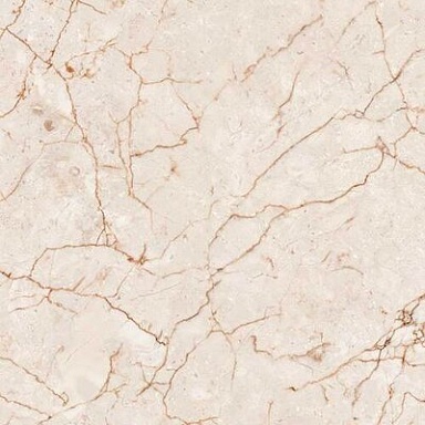 Rosalia Colortile