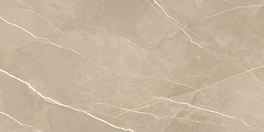 Керамогранит New Trend 60120ESE21P Essential Marron полированный 600x1200x7