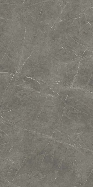 Керамогранит Atlas Concorde Italy AJKX Grey Stone Silk 160x320