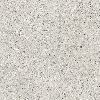Керамогранит Ceradim CR6060G0461R8 Гранито Гриджио серый матовый 59.5х59.5
