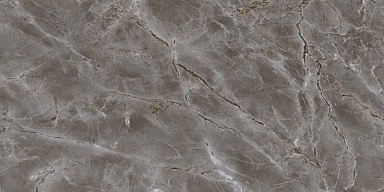 Плитка PrimaVera TP3628B Дамон серый ректификат 30x60
