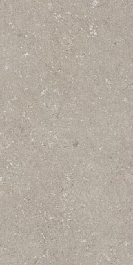 Керамогранит Dado Ceramica 005468 Shellstone Taupe 60x120