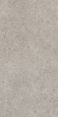 Керамогранит Kerama Marazzi SG519920R Риккарди серый светлый матовый обрезной 60х119,5