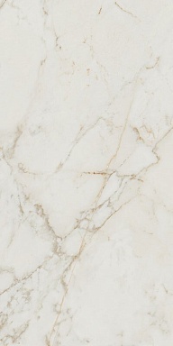 Керамогранит FAP Ceramiche fPZ0 Roma Gold Calacatta Delicato Brillante 60х120