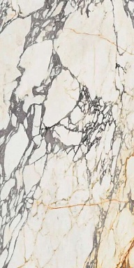 Керамогранит Ariana Ceramica PF60009341 Arabescato Lapp. 3d Ret 60x120