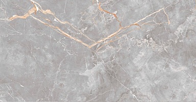 Керамогранит Pardis Ceramic Pazh 176712 Elison Dark Polished 60x120