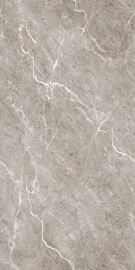 Керамогранит BELLEZA Burgass Brown Carving 60х120