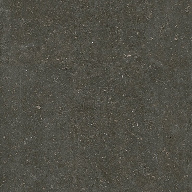 Керамогранит Casa Dolce Casa 785581 Rinascenza Arena Platino Matte 6mm 120x120