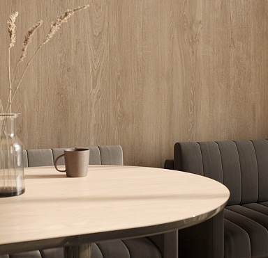 Керамогранит Imola Ceramica ELXR6 549BS RM 5x49