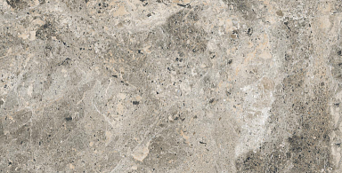 Керамогранит Alpas Euro Alaska Grey Pol. 60x120