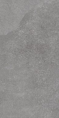 Керамогранит Kerama Marazzi DD200500R Про Стоун серый тёмный обрезной 30х60
