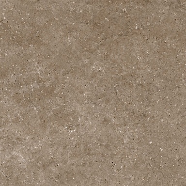 Керамогранит Гранитея G214МR Arkaim Brown 60x60