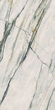 Керамогранит Ariana Ceramica PF60009344 Calacatta Bamboo Lapp. 3d Ret 60x120