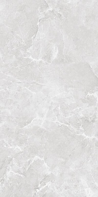 Керамогранит BELLEZA Cr Ambition Silver Carving 60х120