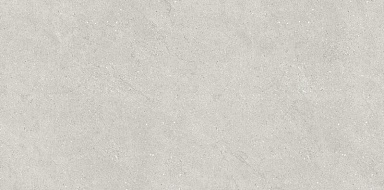 Керамогранит Neodom N110007 Liberty Grey Matt 60x120