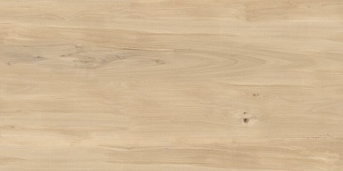 Керамогранит Buono Ceramica FVL4511M Sweet Home Matt 60x120