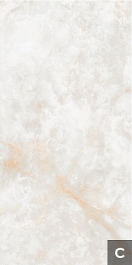 Керамогранит NT Ceramic NTT3019P (C) Li Susu Dragon 120x240