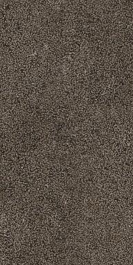 Керамогранит Casa Dolce Casa 768352 Sensi Brown Lithos Ret 40x80
