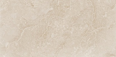 Керамогранит Neodom N20761 Etna Bone Carving Str 60x120