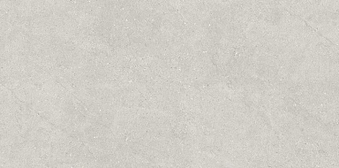 Керамогранит Neodom N110007 Liberty Grey Matt 60x120
