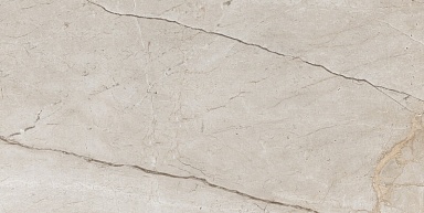 Керамогранит A-Ceramica Eco 6536 Polished 60x120