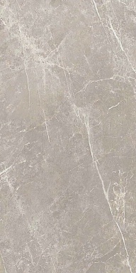Керамогранит Cerim 766528 Elemental Grey Dolomia Luc Ret 60x120