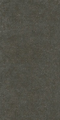 Керамогранит Casa Dolce Casa 785585 Rinascenza Arena Platino Matte 6mm 120x240