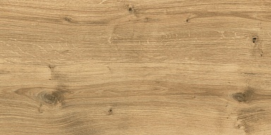 Керамогранит Cersanit C-WS4O112D Woodhouse коричневый 29,7х59,8