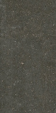 Керамогранит Casa Dolce Casa 785577 Rinascenza Arena Platino Matte 6mm 60x120