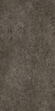 Керамогранит Casa Dolce Casa 768328 Sensi Brown Fossil R+PTV Ret 60x120