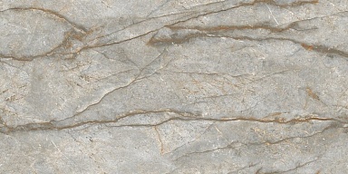 Керамогранит NT Ceramic NTT99517M Forest Carving 60x120