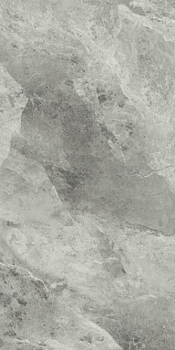 Керамогранит Italon 610010001689 Charme Extra Silver Nat Ret 80x160